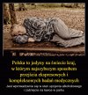 Made in Poland