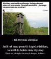Sami się eliminują