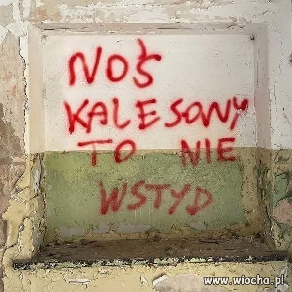 Prawdziwa mądrość z podwórka