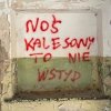 Prawdziwa mądrość z podwórka