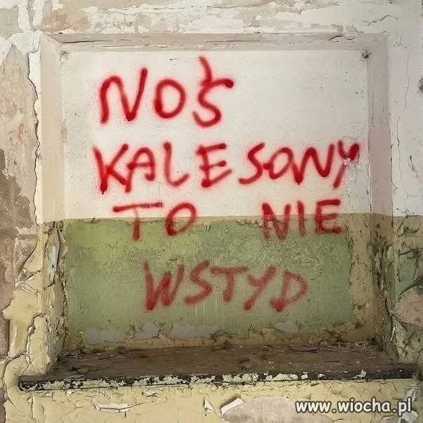 Prawdziwa mądrość z podwórka
