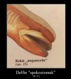 Dobra