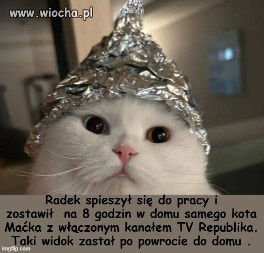 Wychodząc z domu wyłącz żelazko !