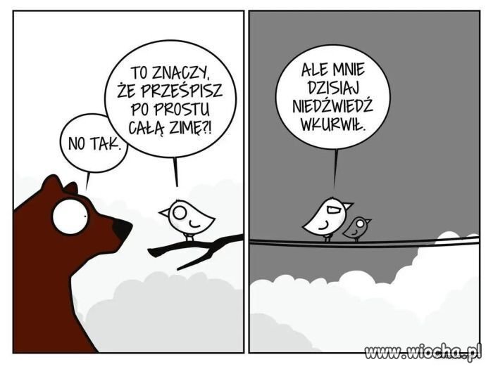 Mnie to by pasowało 