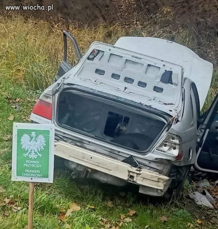 Pomnik przyrody prawem chroniony