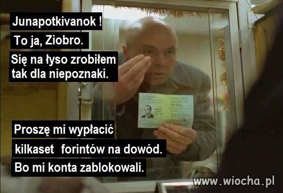 Tymczasem gdzieś na węgierskiej poczcie