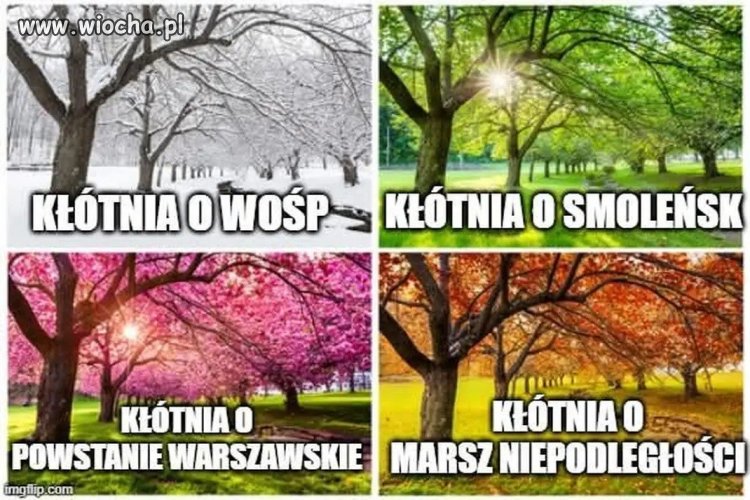 Tak wygląda polski naród na jednym obrazku
