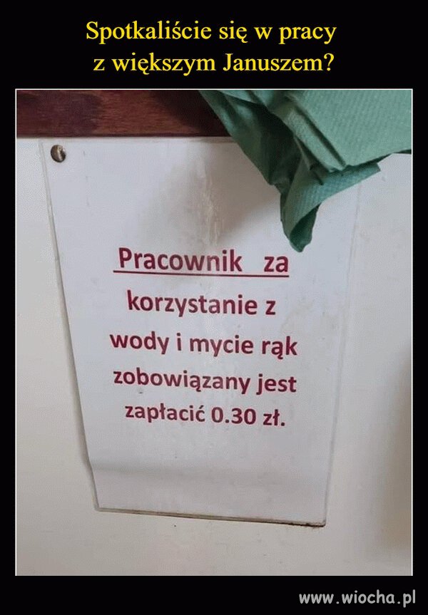 Prawdziwy Janusz