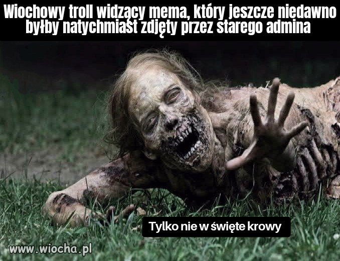 Tak to widzę 