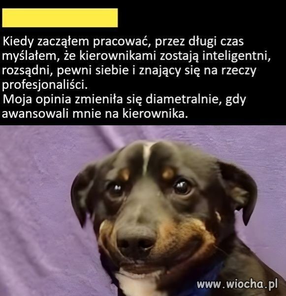 Przyznać się 