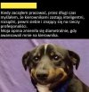 Przyznać się 