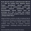 Po co komu prototyp?