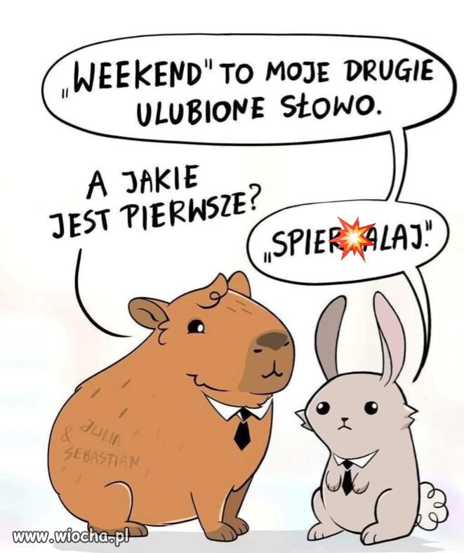 Ulubione słowa Polaków