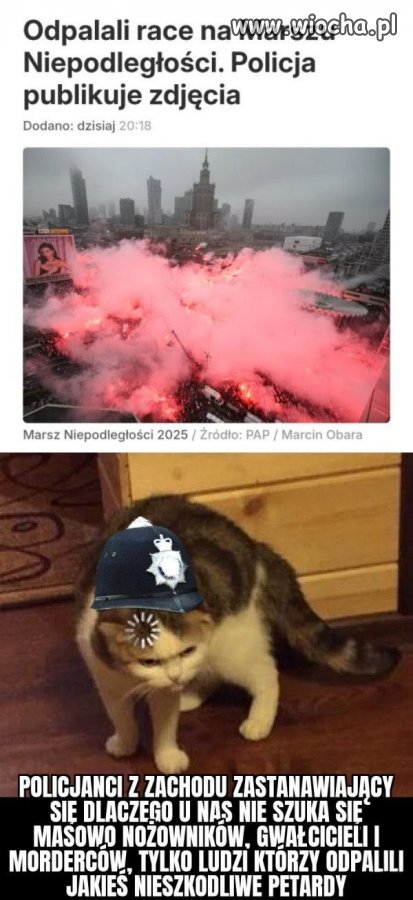 Polska jak zwykle w lesie.