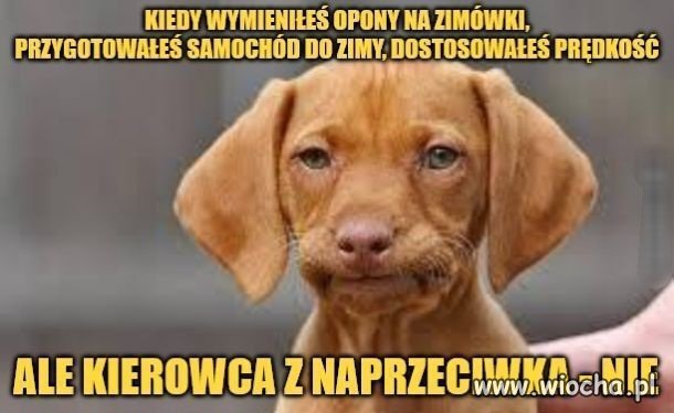 Rok do roku 