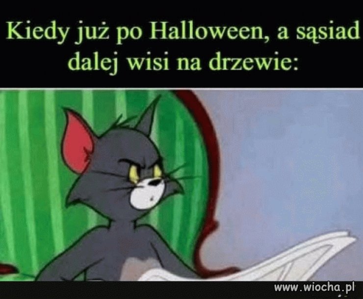 A może to nie jest dekoracja?