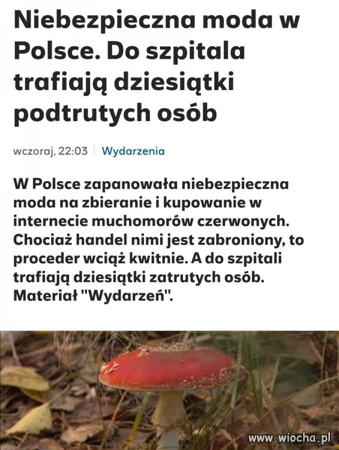 Kometa nie walnie w ziemię, bo jak widzi Polaków, to zawraca.