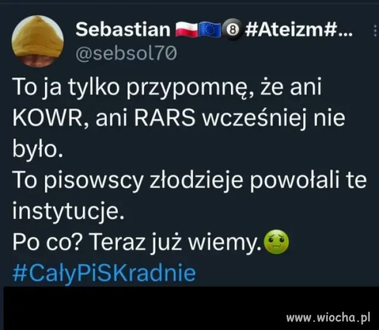 CałyPiSKradnie