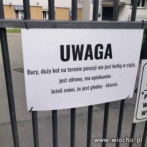 Oficjalny komunikat w sprawie lokalnego naciągacza