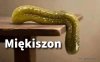 Tak wygląda zmęczenie materiału