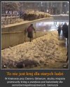 Wstyd to mało powiedziane