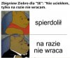 Tytułu po prostu brak.