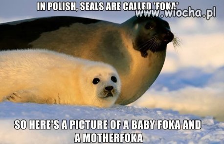 Przyrodnicza