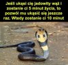Dobra rada, szczególnie polecana 