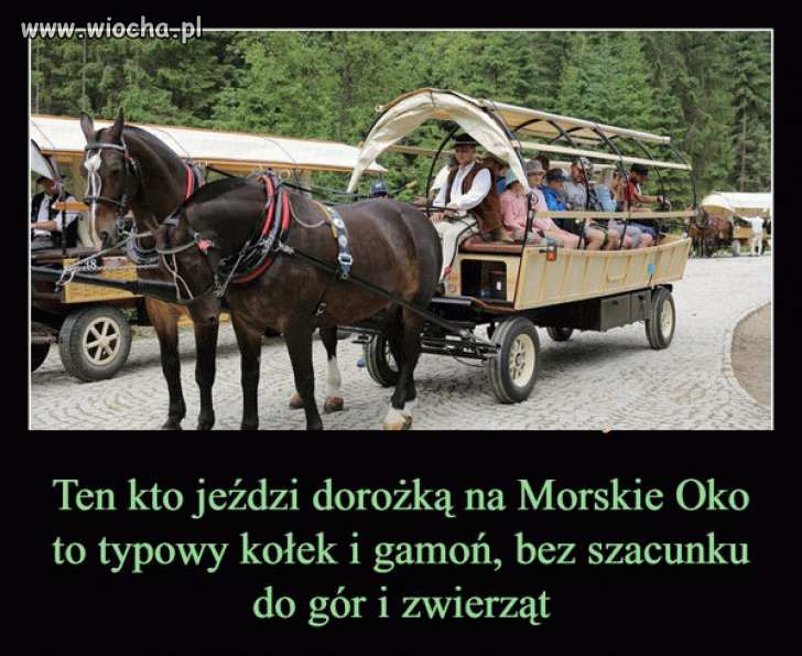 Janusze turystyki