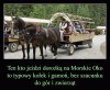 Janusze turystyki