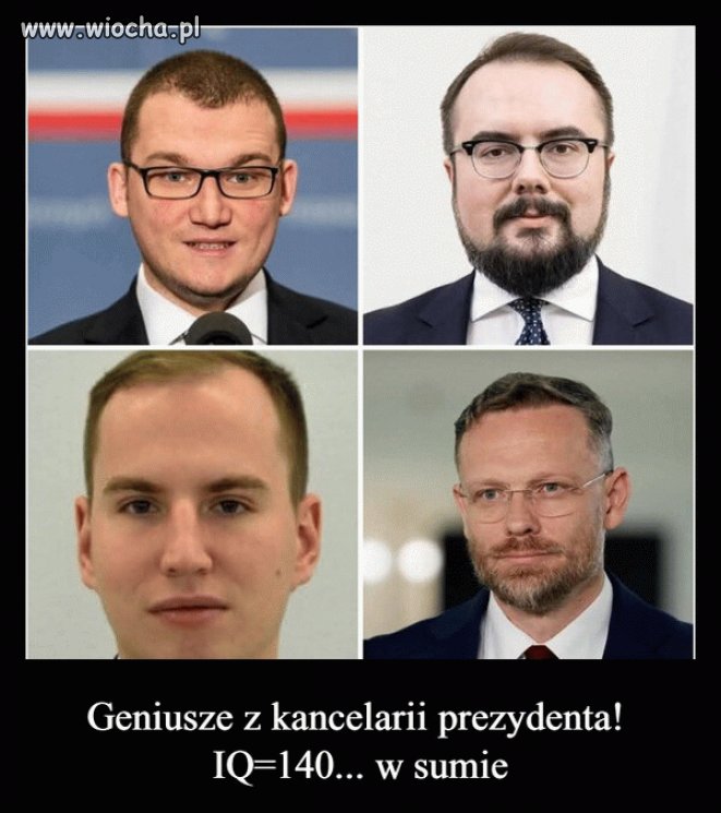 Pisowska "elyta"