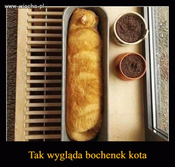 Taka sytuacja