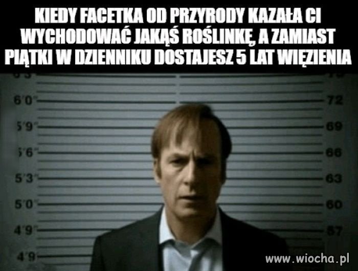 Roślinka to roślinka 
