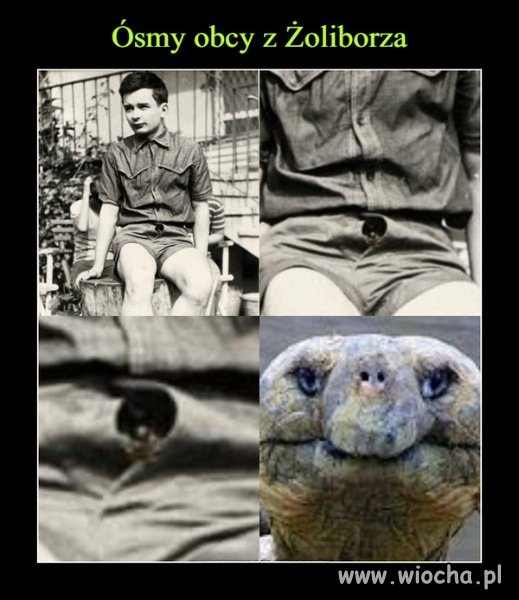 Alien po repolonizacji