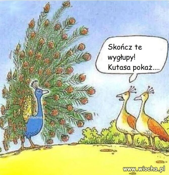 Oj nie popisuj się 