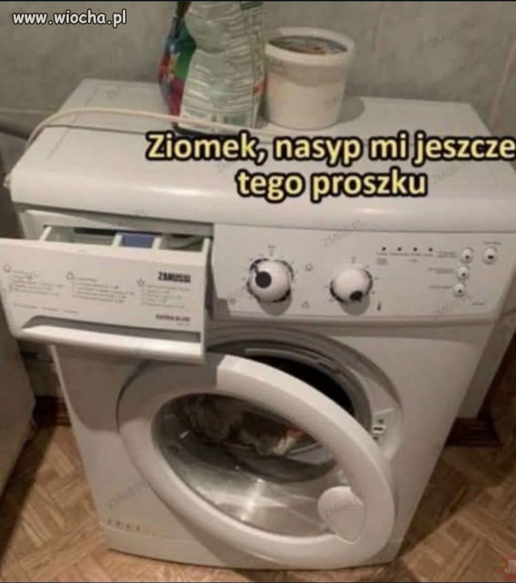 Ziomek, nasyp mi jeszcze tego proszku