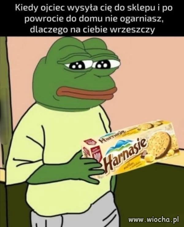 Znowu w życiu 