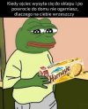 Znowu w życiu 