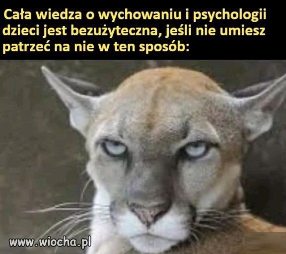 Takie spojrzenie, że od razu się prostujesz 
