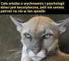 Takie spojrzenie, że od razu się prostujesz 