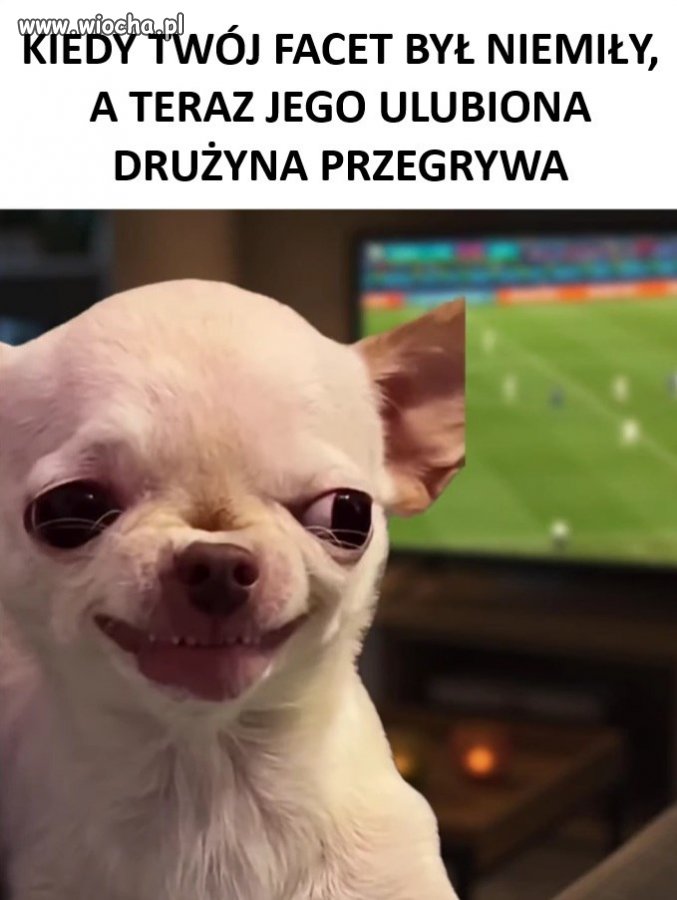 Wasze kobiety też się tak mszczą?