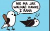 Poranna rutyna po polsku