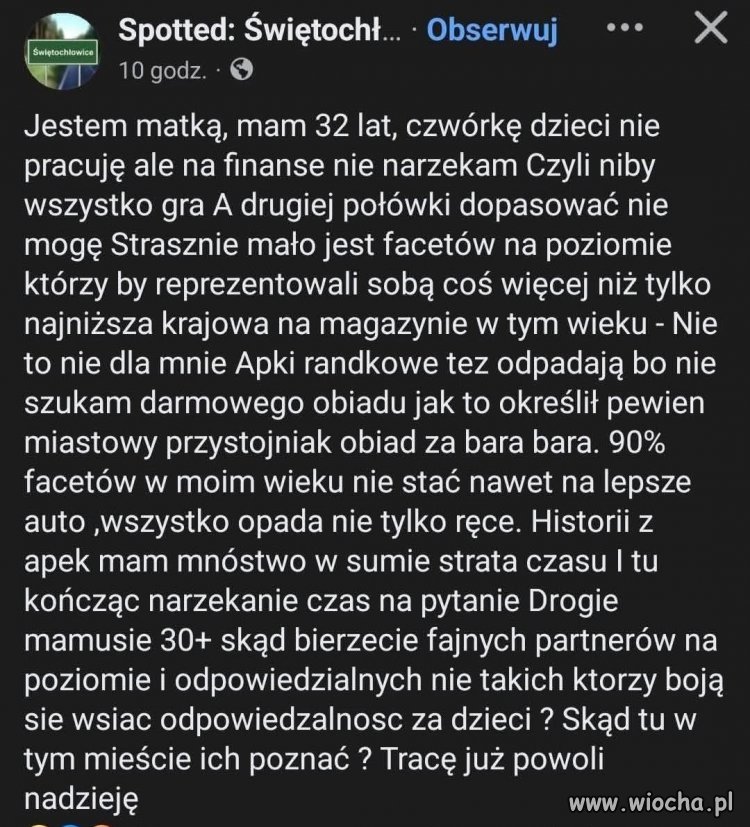 Szuka frajera
