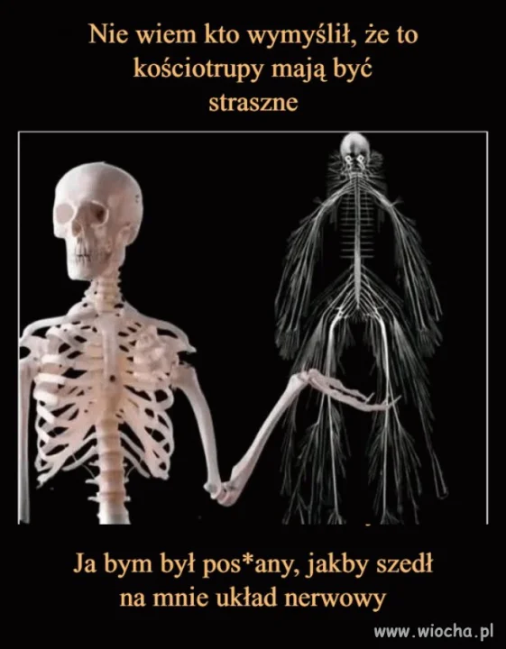 Tyle w temacie