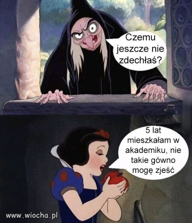 Kto był ten wie, kto nie był ten słyszał 