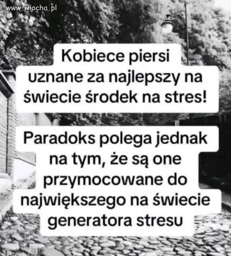 Paradoks