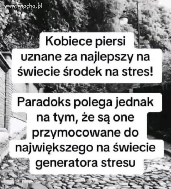 Paradoks