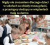 A pamiętacie jak Ziobro powołali  . to był modny taki wierszyk