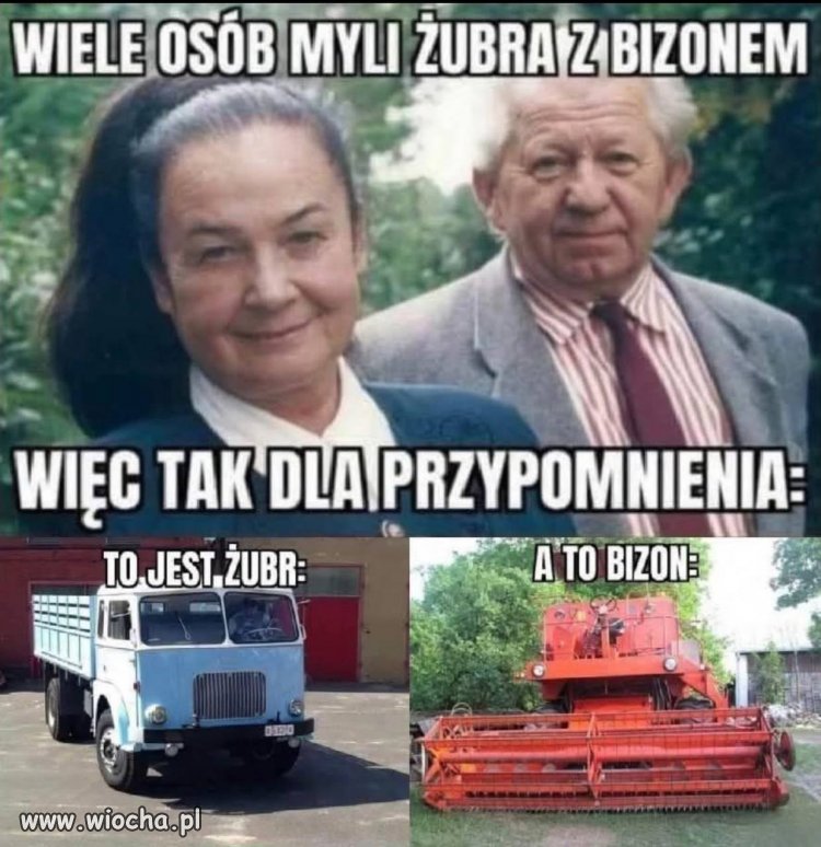 Lekcja Biologii Po Polsku