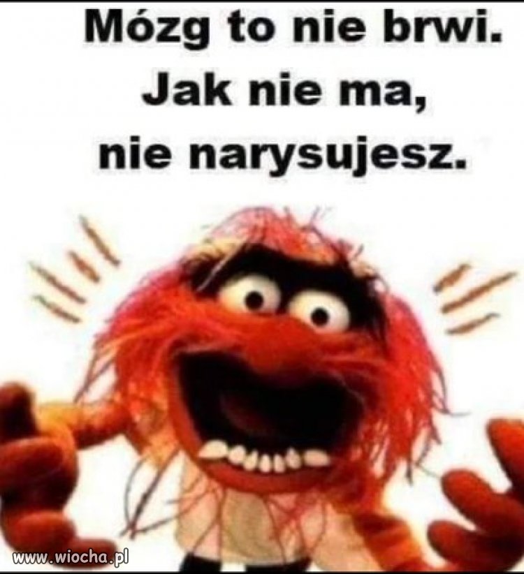 Nie sposób zaprzeczyć